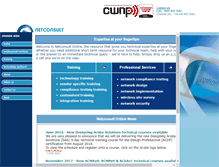 Tablet Screenshot of netconsultonline.com